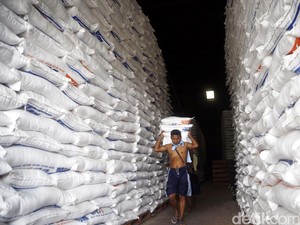Harga Gabah di Sumsel Turun Rp 800/Kg