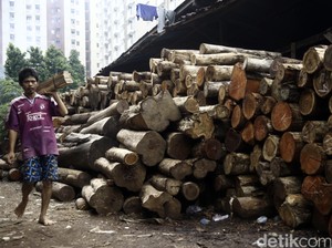 Ekspor Produk Kayu RI ke Eropa Dikenai Biaya Uji Tuntas US$ 2.500