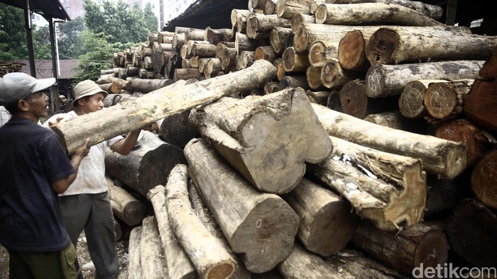 Ini Strategi Pemerintah Cegah Beredarnya Kayu Curian