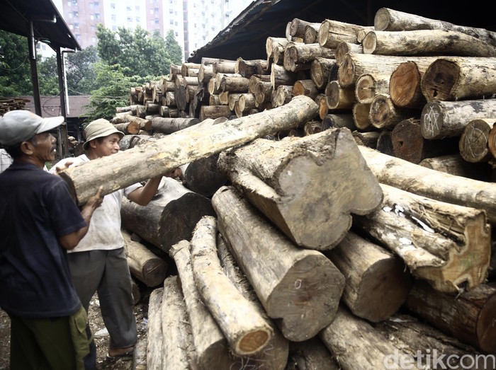 Eropa Tak Percaya Produk Kayu RI Legal