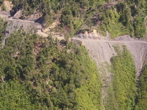 Komnas HAM Minta Pemerintah Jamin Keselamatan Pekerja di Papua