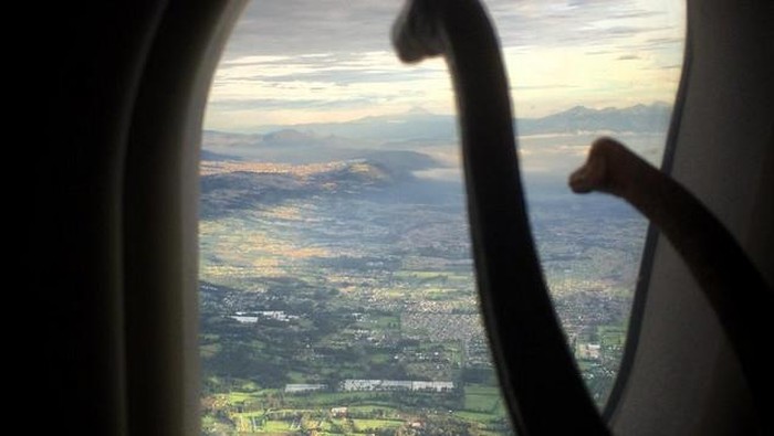 Dinosaurus pun Traveling, Kamu Gimana?