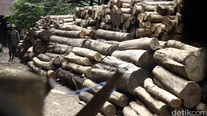 Ada SVLK, Kayu Asal RI Lebih Mudah Tembus Pasar Uni Eropa