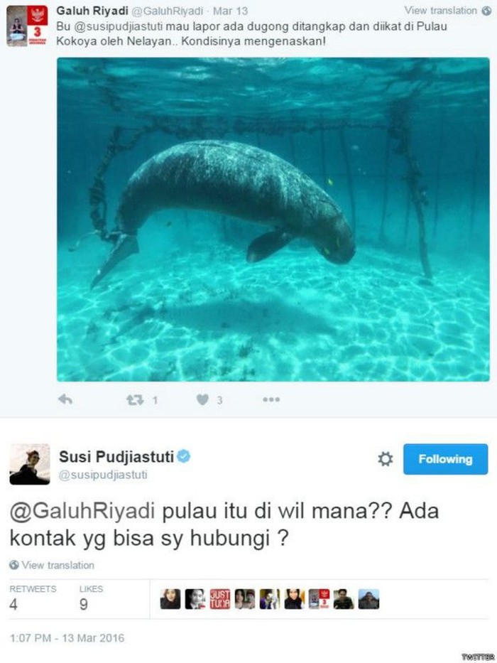 Responsifnya Menteri Susi Kala Warga Mengadu untuk Selamatkan Ikan Dugong