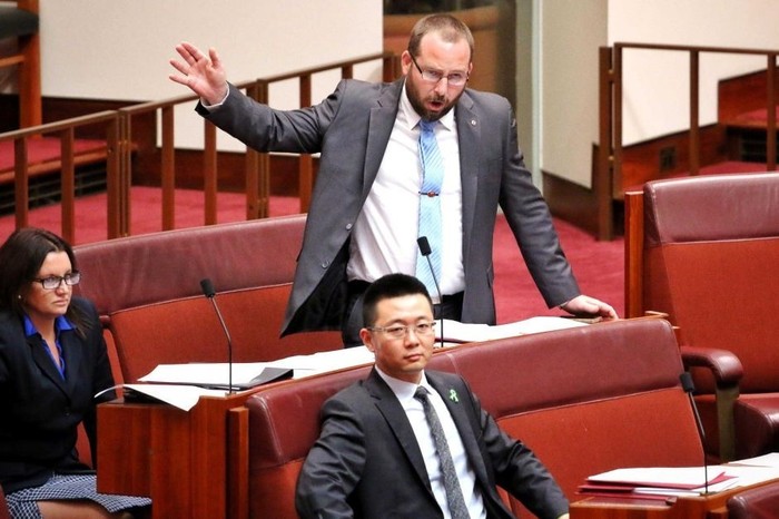 Senator Australia Disarankan Bawa Bantal ke Kantor