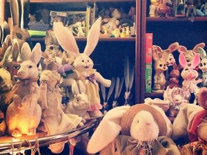 Cute! Museum di AS Ini Isinya Puluhan Ribu Kelinci