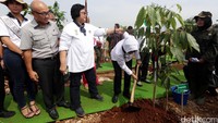 Mendukung penghijauan jalan tol, Menteri Siti melakukan penanaman pohon di Intercharge Subang KM. 109 Tol Cipali.