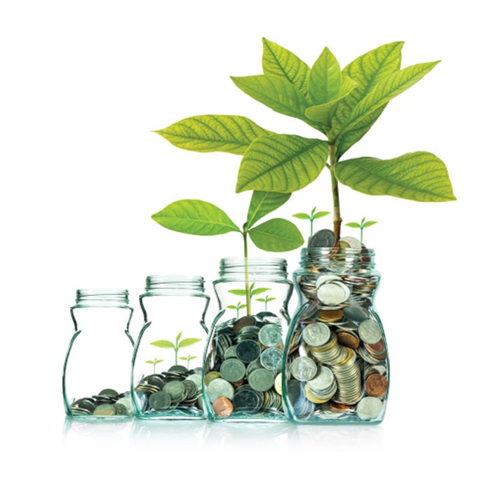 Punya Dana Lebih dalam Mata Uang Asing, Sebaiknya Investasi Apa?