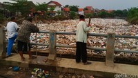 Mereka berbekal bambu dan kayu guna membersihkannya dari atas jembatan, bahkan beberapa pria turun ke bawah sambil mengangkat gundukan ragam sampah.