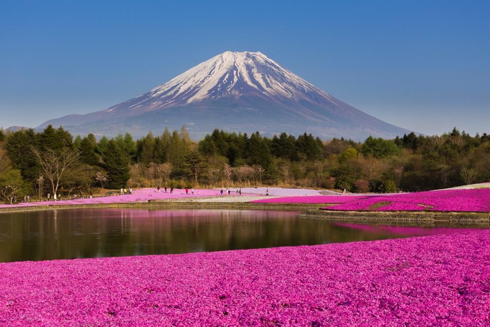 Jepang Yang Tidak Hanya Cantik Saat Musim Sakura