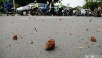 Tanah merah yang dilempar oleh para sopir taksi berserakan di tengah jalan.
