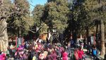 Jelajah Megahnya Forbidden City di Beijing