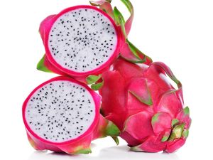 Cara Menanam Buah Naga di Pot agar Cepat Berbuah