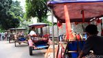 Delman Masih Eksis di Era Transportasi Online