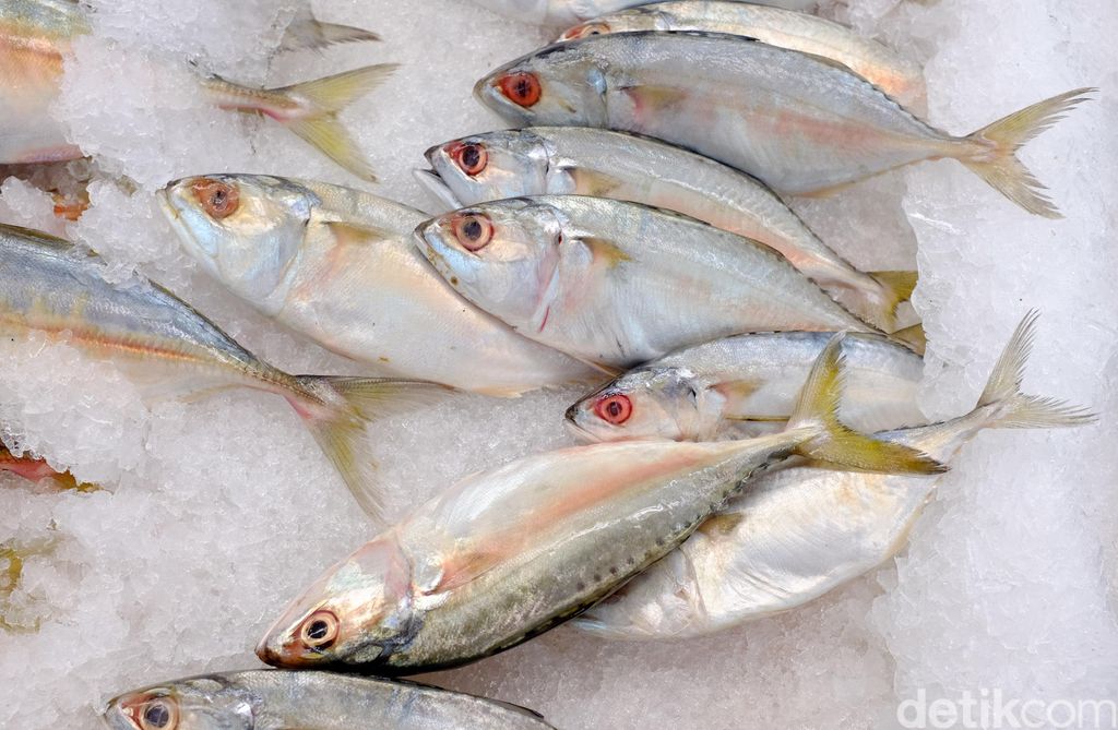 Ikan segar siap olah