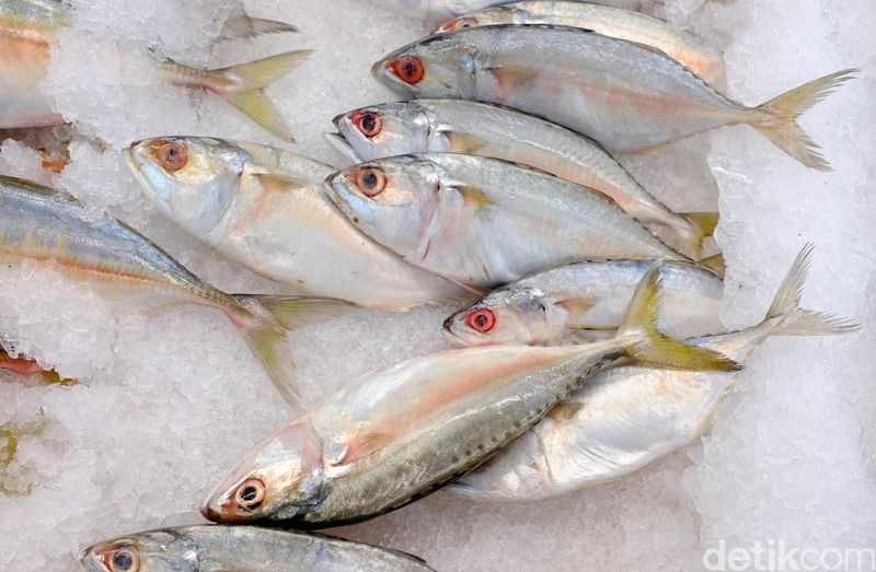 Ikan segar siap olah