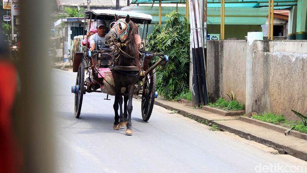 Delman biasa ditemukan di kawasan pariwisata. Namun di Ibu Kota yakni Jakarta. Delman masih dipergunakan untuk transportasi umum. Seperti yang ada di Jalan Swadarma Jakarta selatan.