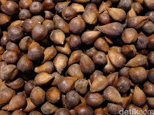 Salak Kersikan, Si Manis Flora Resmi Kabupaten Pasuruan