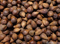 6 Oleh-oleh Khas Sleman yang Wajib Dicoba, Ada Buah-Hidangan Lezat