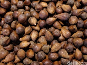 Salak Kersikan, Si Manis Flora Resmi Kabupaten Pasuruan