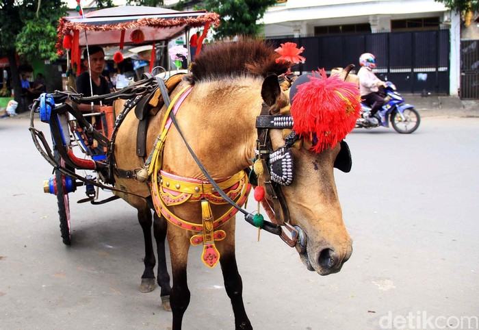 Delman Masih Eksis di Era Transportasi Online