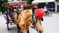 Tarif yang diperuntunkan untuk naik delman hanya 5000 rupian/orang untuk jarak dekat. Al Fanny Panestika/detikFoto.