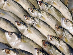 Kata WHO Soal Penularan Virus Corona dari Makanan