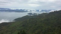 Hamparan hutan pinus terlihat berada di pinggiran Danau Toba. Permukaan air danaunya yang tenang dan ukurannya yang luas, akan membuat siapa saja terhipnosis kala melihatnya. (Afif/detikTravel) 