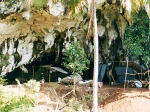 Tulang Satwa di Situs Prasejarah Gua Braholo Rongkop: Ular hingga Gajah
