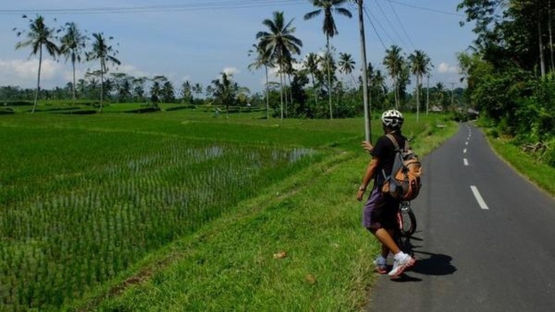 Gianyar akan jadi lokasi Bali Marathon 2016 (Sastri/detikTravel) Gianyar akan jadi lokasi Bali Marathon 2016 (Sastri/detikTravel)