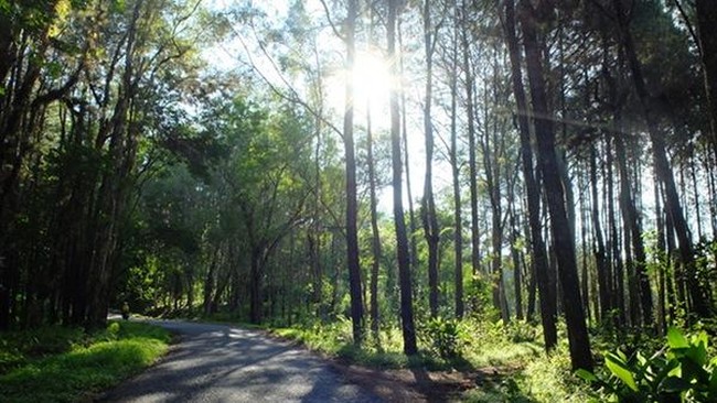 Lolos SBMPTN di Yogya, Ayo Jalan-Jalan ke Sini!