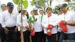 Rini Soemarno dan Direksi BUMN Tanam 10.000 Pohon
