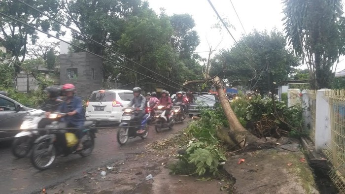 Lebih 20 Pohon di Bandung Tumbang Akibat Hujan Angin