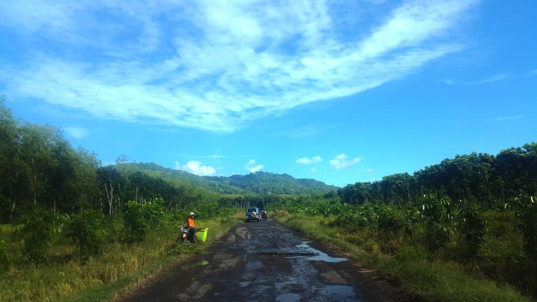 Menteri LHK Ingin Kembangkan Taman Nasional Alas Purwo Menteri LHK Ingin Kembangkan Taman Nasional Alas Purwo