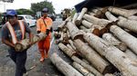 Truk Muat Kayu Terguling