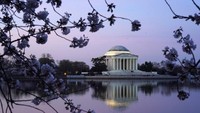 Negara bagian pertama yang menyatakan status ini di AS adalah Washington setelah adanya kasus kematian pertama di wilayahnya. Hingga Minggu (15/3/2020) sore, total kasus Covid-19 yang dilaporkan di AS adalah sebanyak 2.952 kasus dengan 57 kasus kematian dan 12 pasien sembuh. Foto: CNN