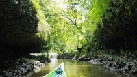 Salah satu aktivitas seru di Rammang-rammang, Kabupaten Maros, Sulawesi Selatan adalah menyusuri Sungai Pute. Wisatawan akan naik perahu menyusuri sungai ini ketika mau menjelajah pegunungan karst di kawasan Kampung Berua (Kurnia/detikTravel)
