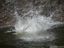 Minggu Kelabu di Cianjur, Dua Pelajar Tewas Tenggelam