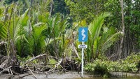 Uniknya, di tepi sungai seringkali terpampang rambu lalu-lintas layaknya di jalan raya. Misalnya saja yang satu ini, banyak tikungan (Kurnia/detikTravel)