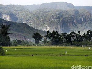 Tiga Kelompok Tani Bandung Diajukan Jadi Petani Milenial Jabar