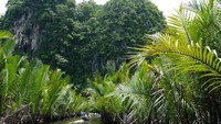 Awalnya memang batu karst kecil yang tampak. Tapi semakin jauh, pegunungan karst yang gagah pun terlihat di sekitar sungai (Kurnia/detikTravel)