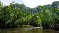 Kawasan ini belum terlalu ramai wisatawan. Suasananya begitu tenang dan asri (Kurnia/detikTravel)