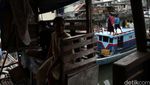 Keceriaan Anak-anak Luar Batang