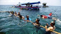 Risers ber-snokling ria di Pulau Pahawang.