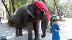 Ini Rumah Rudyard Kiplling Pencipta The Jungle Book