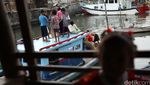 Keceriaan Anak-anak Luar Batang
