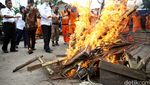 Razia dan Pemusnahan Unggas
