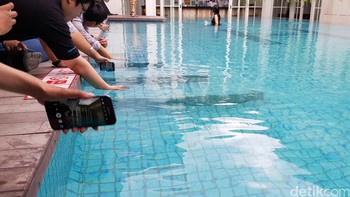 Menurut Samsung, ini bisa menghasilkan autofokus yang sangat cepat, sekitar 0,2 detik.