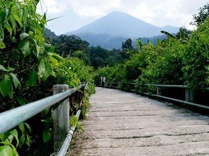 Ssst.. Ada Jembatan yang Dilewati Macan Tutul di Gede Pangrango