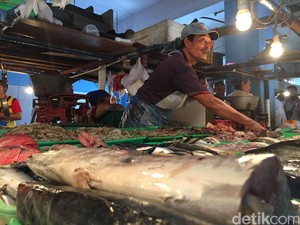 Ini Daftar Ikan yang Paling Banyak Diimpor RI
